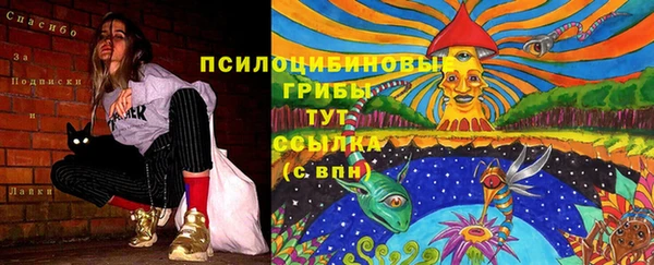 стафф Володарск