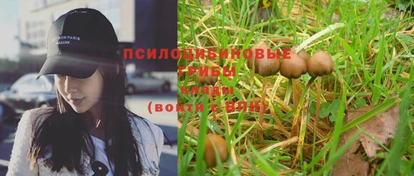 стафф Володарск