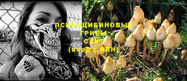 стафф Володарск